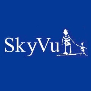 Battle Bears 开发商 SkyVu 筹集首轮风险投资资金